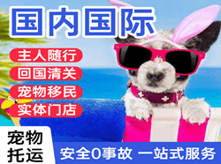 东极航空快递国际宠物托运 【国